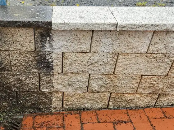 Čištění fasády, realizace RabatClean, fotografie 12